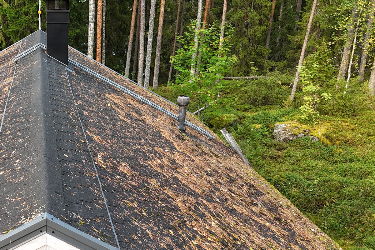 Palahuopakaton korjaus Riistavesi 