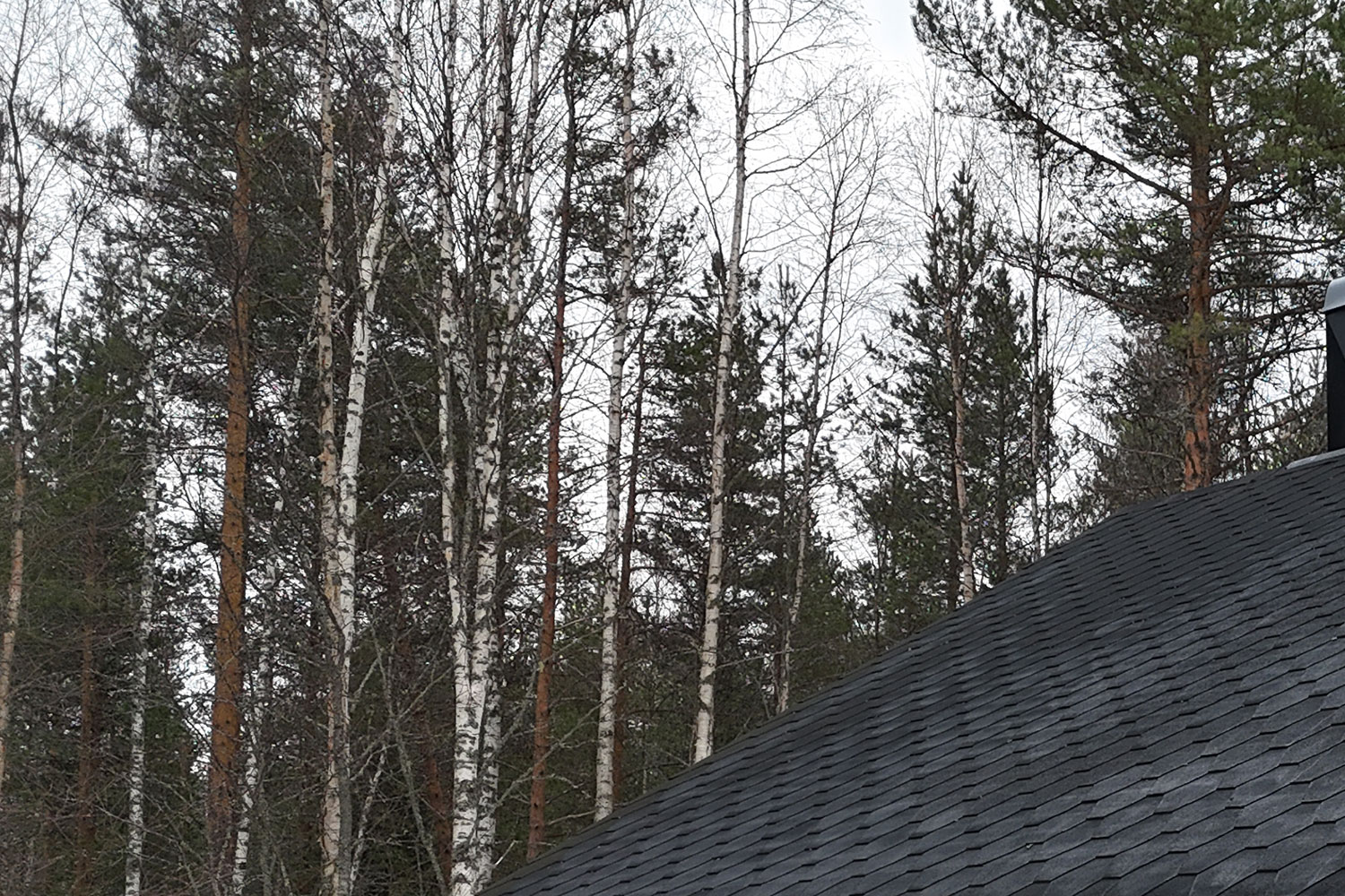 Omakotitalon, kesämökin huopakaton korjaus Hammaslahti 