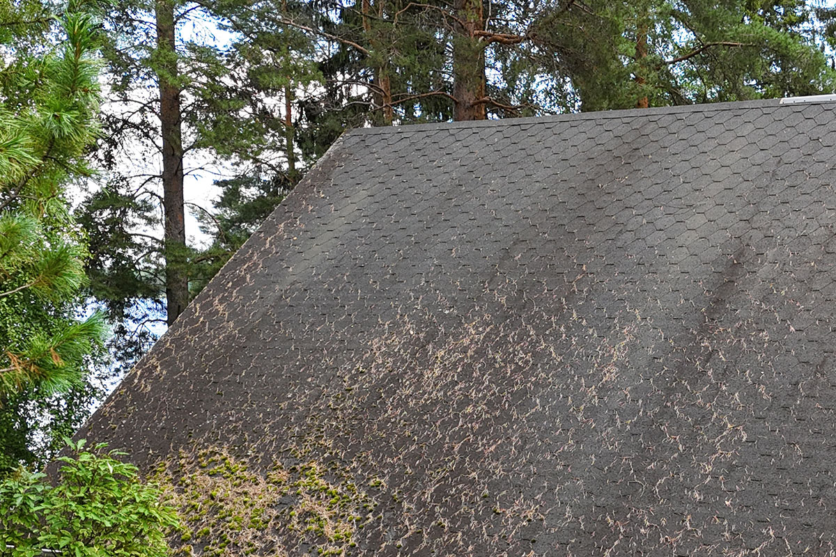 Omakotitalon, kesämökin huopakaton korjaus Nilsiä 