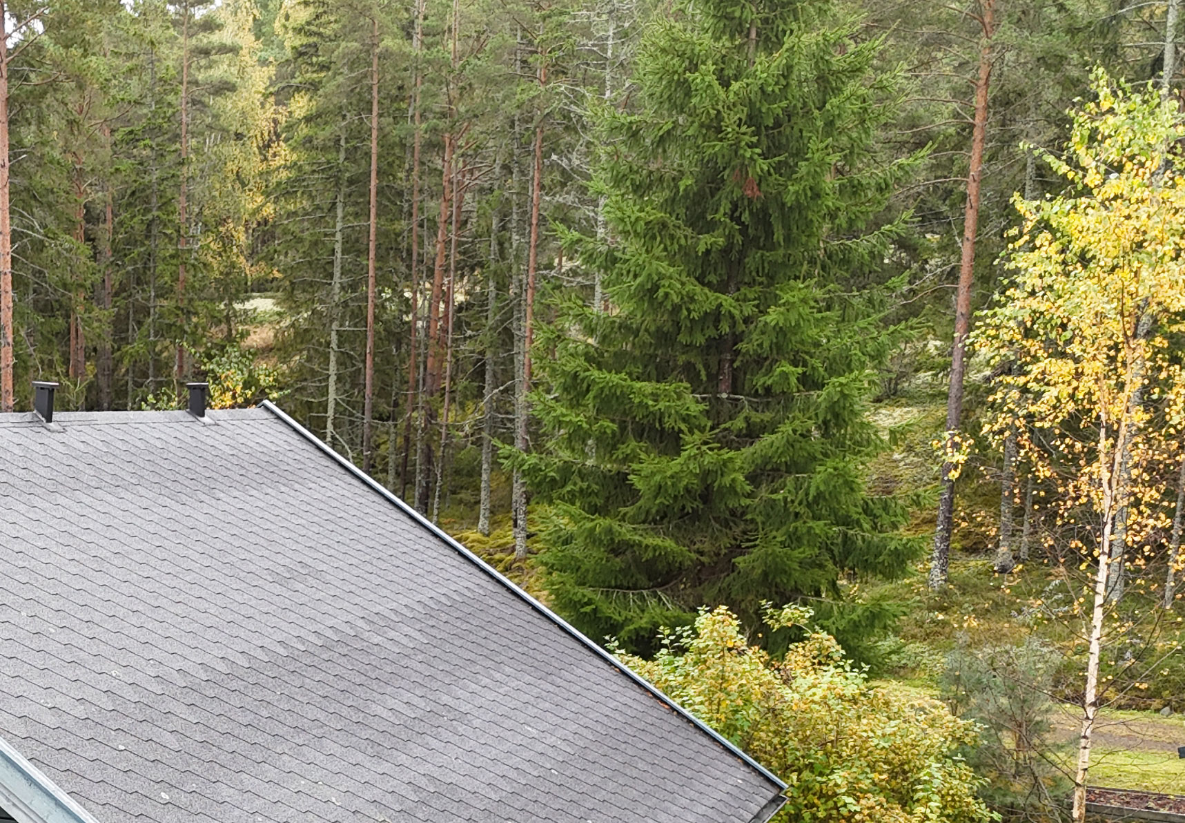 Bitumikattoremontti Sotkamo 
