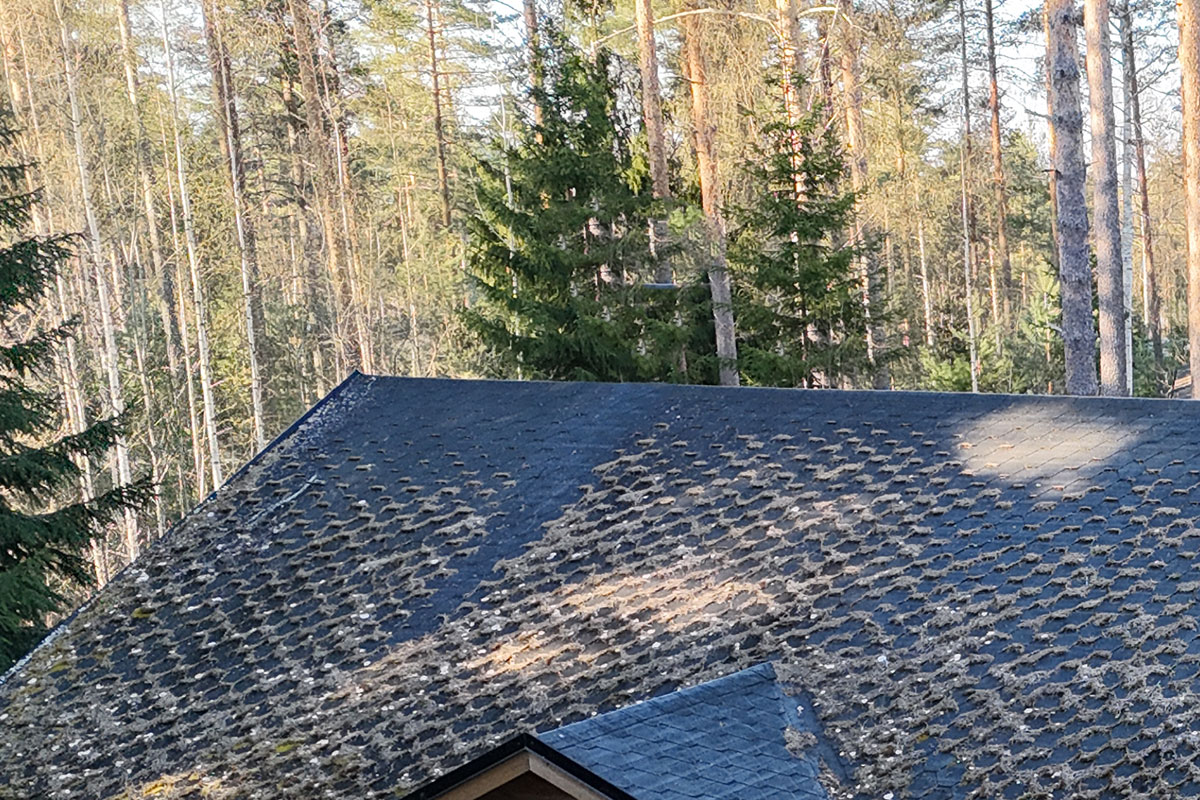 Omakotitalon, kesämökin huopakaton korjaus Kangaslampi 