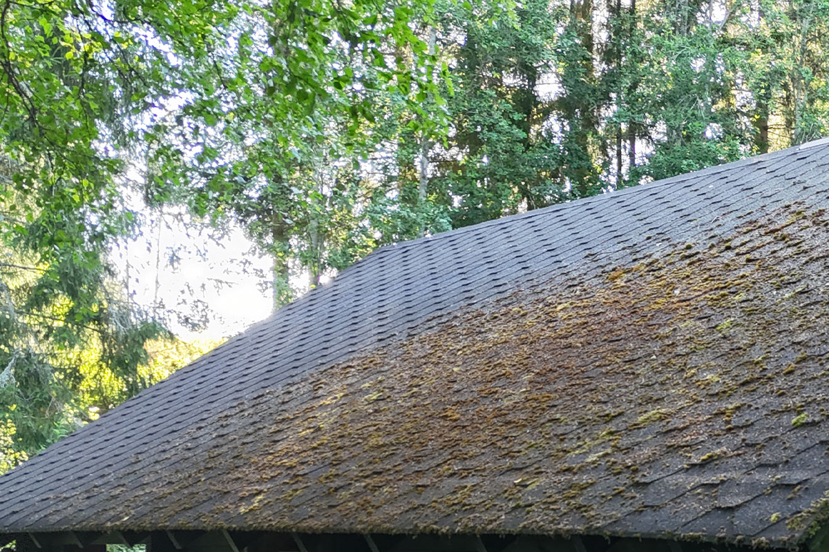 Omakotitalon, kesämökin huopakaton korjaus Ylitornio 