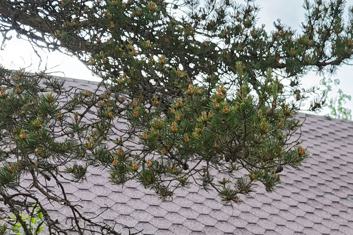 Omakotitalon tai kesämökin bitumikattoremontti Masku